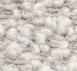 Nimbus 007 Swatch image for Nimbus 007